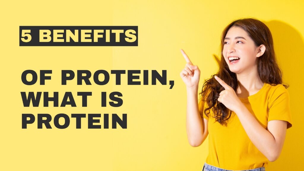 What is Protein, 5 Benefits of Protein